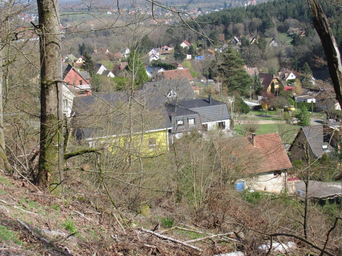 Le Clos D'Aure. Oberhaslach Экстерьер фото