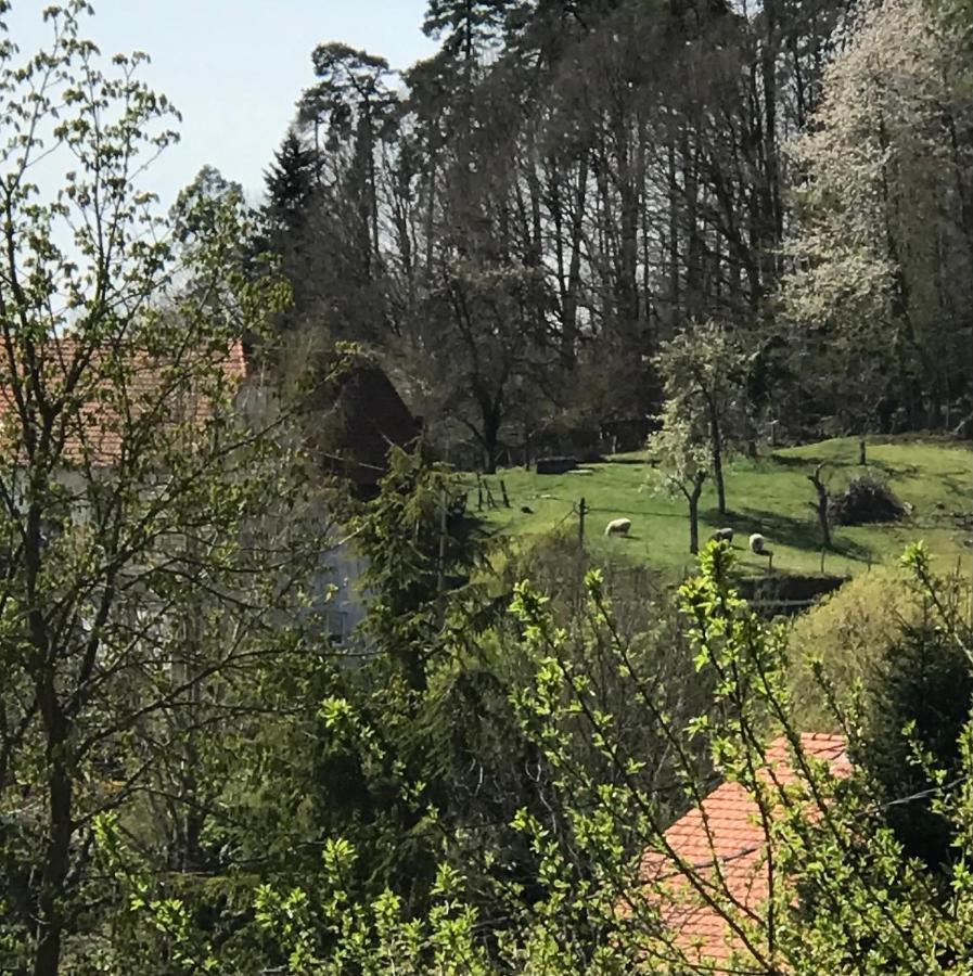 Le Clos D'Aure. Oberhaslach Экстерьер фото